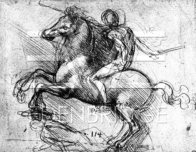 Horse and Rider